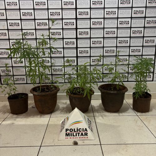 POLÍCIA MILITAR REALIZA PRISÃO POR TRÁFICO DE DROGAS NO BAIRRO UNIVERSITÁRIO EM ITUIUTABA