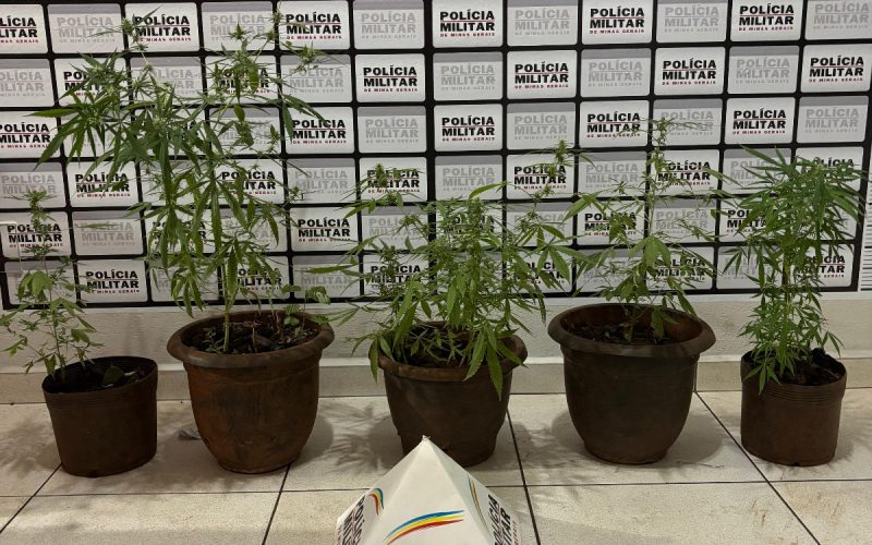 POLÍCIA MILITAR REALIZA PRISÃO POR TRÁFICO DE DROGAS NO BAIRRO UNIVERSITÁRIO EM ITUIUTABA