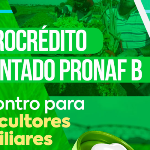 Itumbiara promove encontro para agricultores familiares sobre Microcrédito Orientado PRONAF B