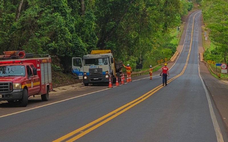 Bombeiros e Ecovias removem árvore com risco de queda na BR-365