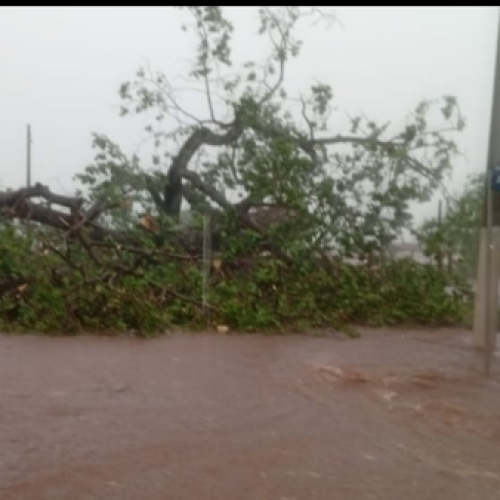 Fortes chuvas causam estragos e deixam rastro de destruição em Canápolis (MG)