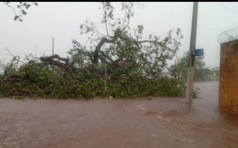 Fortes chuvas causam estragos e deixam rastro de destruição em Canápolis (MG)
