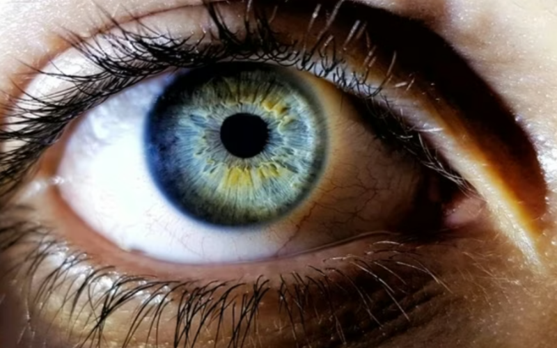 Injeção ocular pioneira devolve visão a pacientes e pode evitar cegueira, dizem pesquisadores