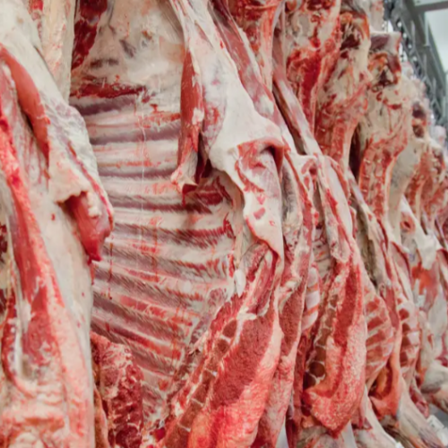 Brasil esgota cota de exportação de carne bovina para os EUA em tempo recorde em 2026