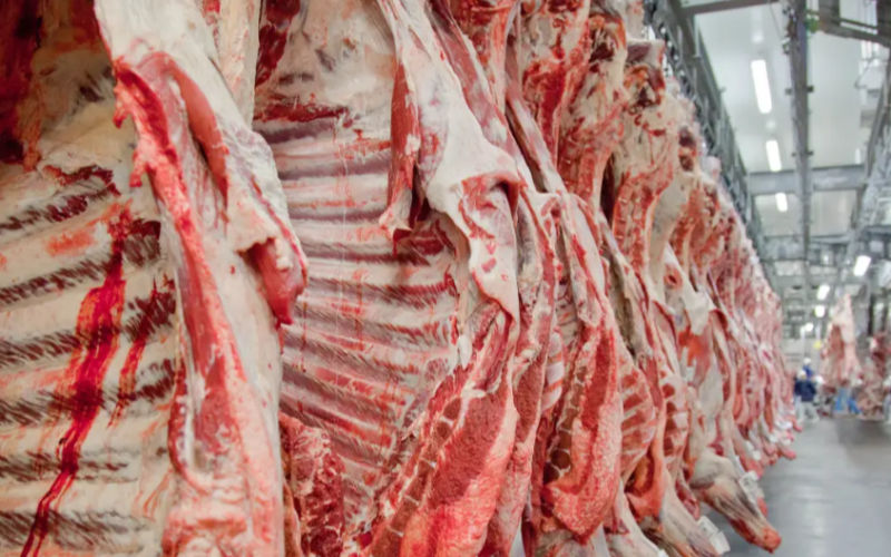 Brasil esgota cota de exportação de carne bovina para os EUA em tempo recorde em 2026