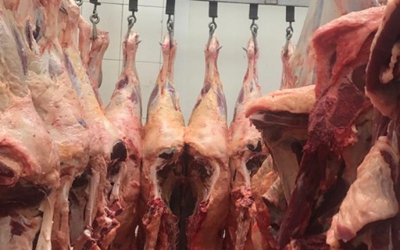 Quadrilha que furtava gado em fazendas mineiras e enviava pra São Paulo é descoberta